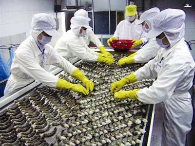 Shrimp exports to earn $3.3 billion in 2016
